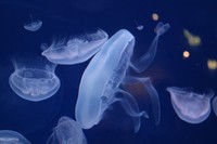 img_0193.jpg